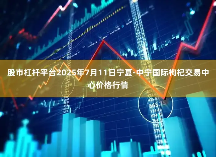 股市杠杆平台2025年7月11日宁夏·中宁国际枸杞交易中心价格行情