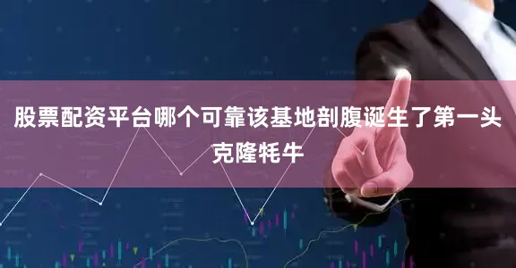 股票配资平台哪个可靠该基地剖腹诞生了第一头克隆牦牛