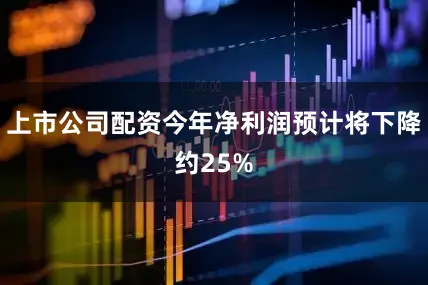 上市公司配资今年净利润预计将下降约25%