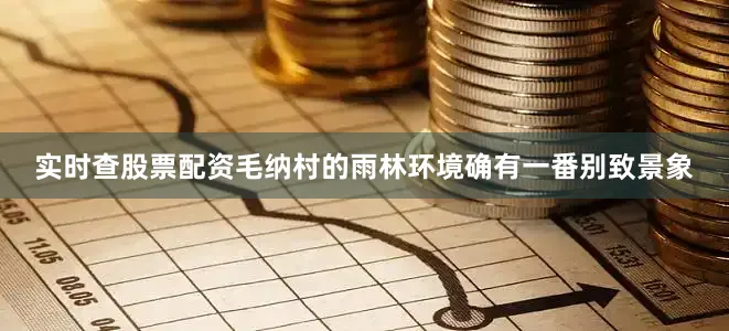 实时查股票配资毛纳村的雨林环境确有一番别致景象