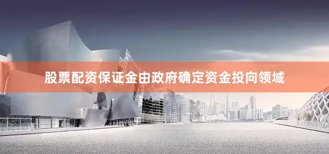股票配资保证金由政府确定资金投向领域