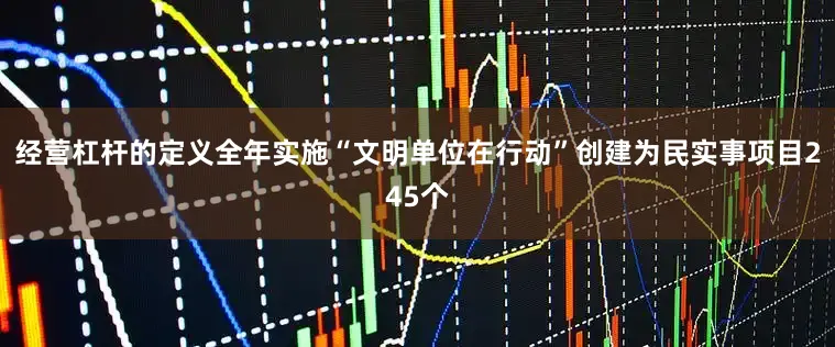 经营杠杆的定义全年实施“文明单位在行动”创建为民实事项目245个