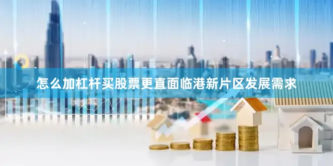 怎么加杠杆买股票更直面临港新片区发展需求